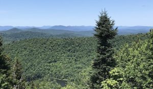 View from Luce's Lookout